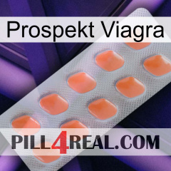 Prospecto Viagra 26